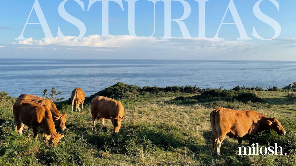 #23 | Where Cider Flows at Arm's Length - Asturias