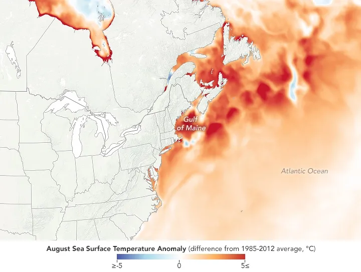 Brutal warming off the Northeast coast is now normal.