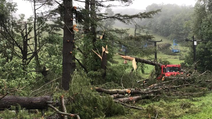 Weekend Outlook August 12-13