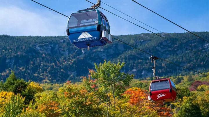 The Notch is not getting hitched.