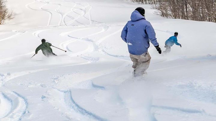Fresh tracks, yum!  📷 Stratton Mountain
