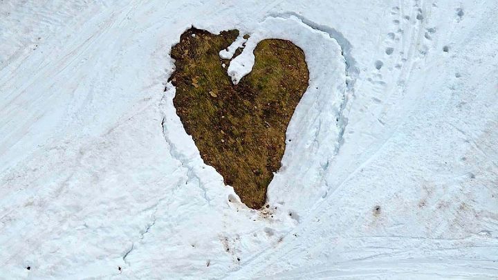 Even the grass patches at Sugarloaf love the snow.