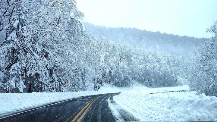 Travel Outlook and Top Picks