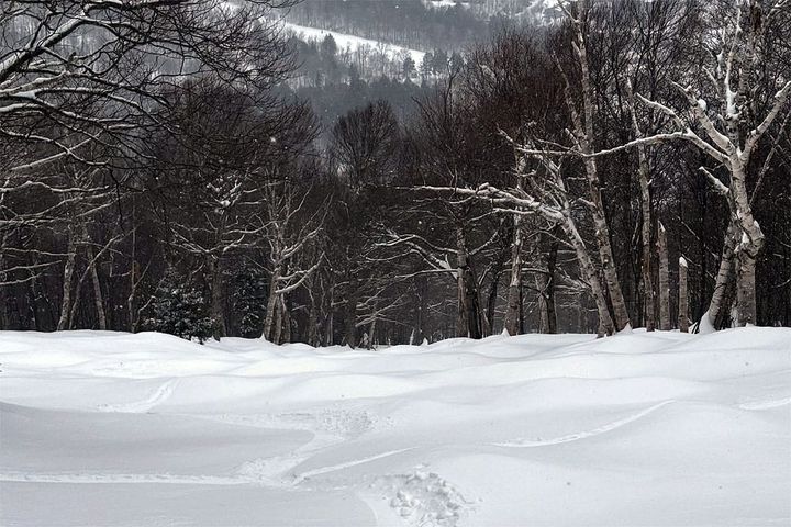 Sugarbush picked up a dense 6" of snow by open from this storm.  📷 Sugarbush