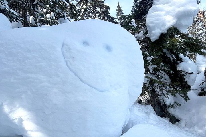 The snow ghosts are still happy up high at MRG...for the moment.   📷 Kristine Keeney