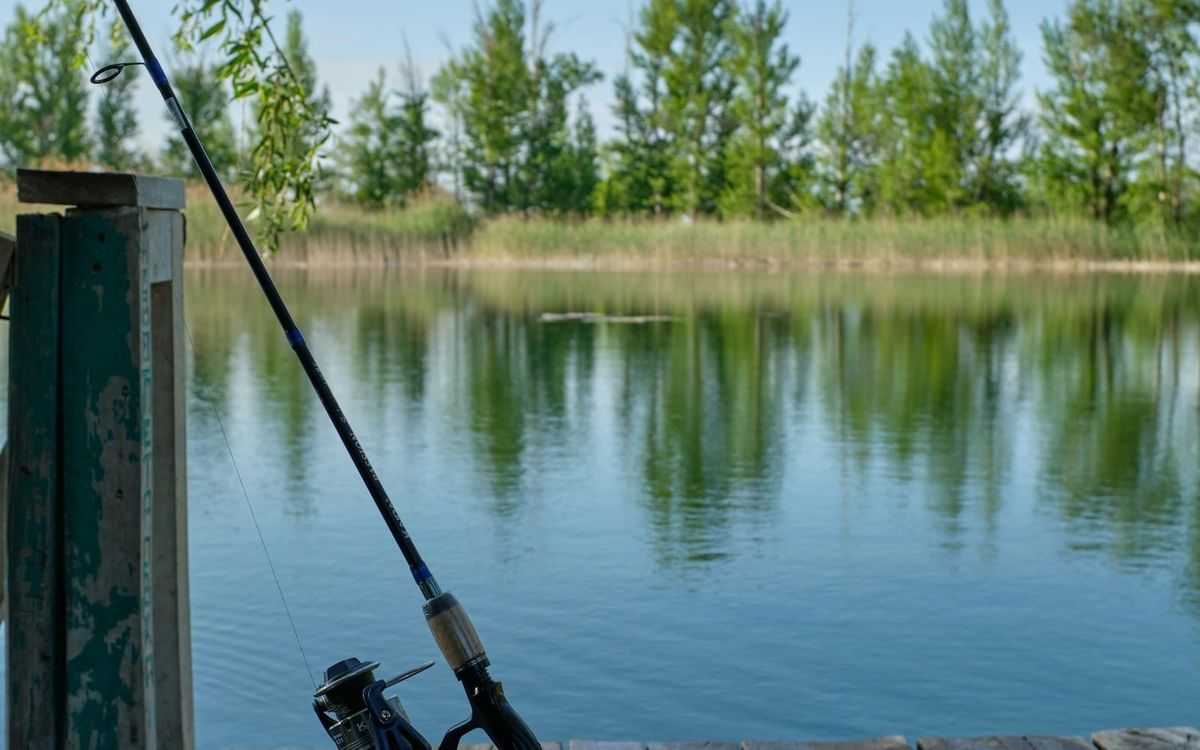 A fishing rod propped beside a quiet pond