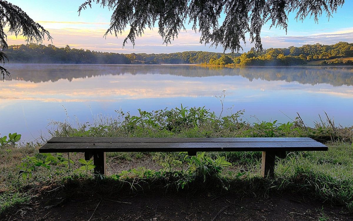 An empty rustic bench overlooking a quiet lake