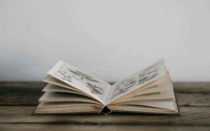 An open book resting on a weathered wooden table