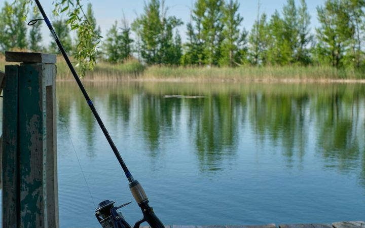 A fishing rod propped beside a quiet pond