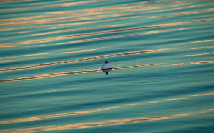 A small fishing float resting on gently rippling water