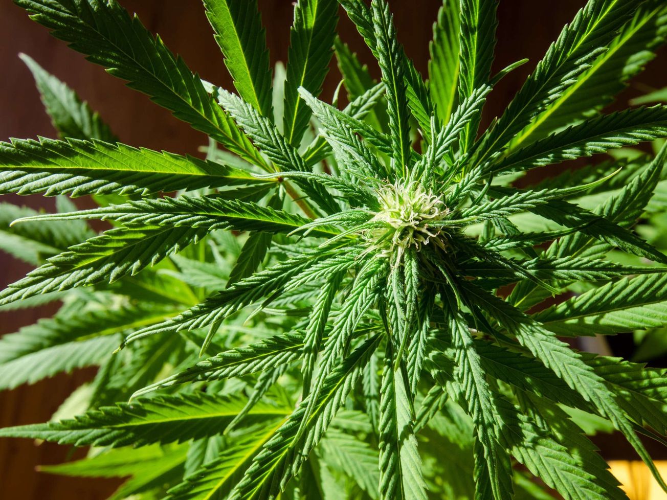 LEGISLATÍVA: Ústavný súd SR bude posudzovať výška trestu pri trestnom čine podľa § 173 Trestného zákona