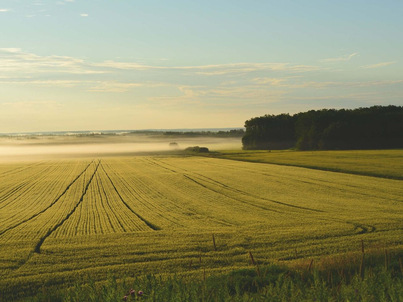 JUDIKATÚRA: Pozemkové úpravy a zaniknuté spoluvlastníctvo