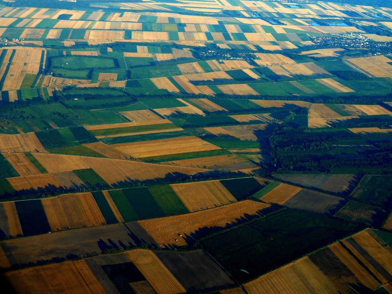 JUDIKATÚRA: Ustanovenie procesného opatrovníka neznámym vlastníkom