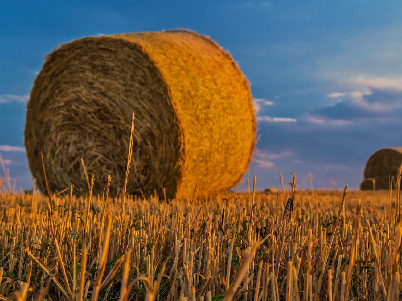 LEGISLATÍVA: Zmeny v oblasti reštitúcií pozemkov