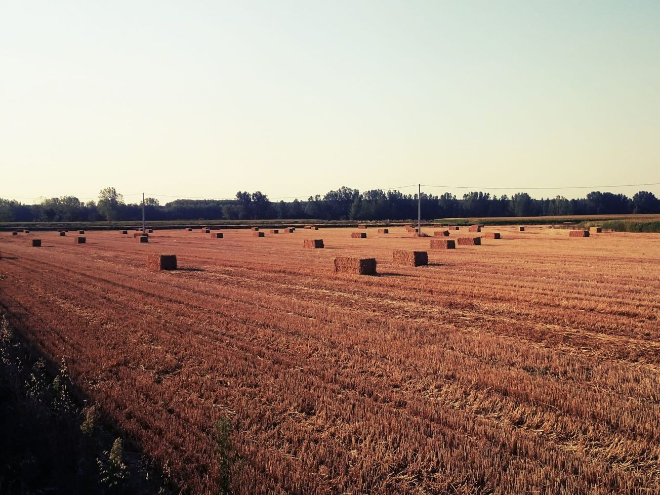 JUDIKATÚRA: Povinnosť obce odôvodniť určenie výšky dane z nehnuteľnosti a peňažná moderácia výšky dane v rámci správneho súdnictva