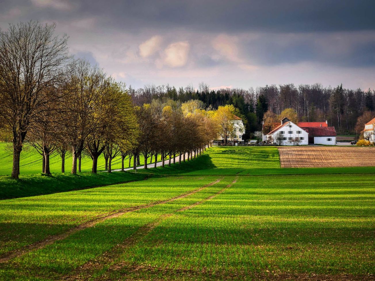 JUDIKATÚRA: Námietka relatívnej neplatnosti v katastrálnom konaní a postup správneho orgánu