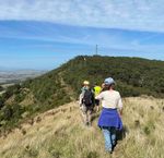Community unites for Hoddle Mountain trail guide launch