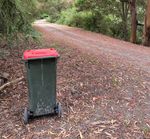 Food scraps in the green bin, red bins go fortnightly