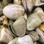 Venus Bay community pushes for seasonal pipi ban