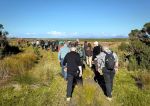 Celebrating World Saltmarsh Day at Bullock Island