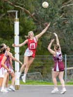 Roos and Tigers continue netball domination