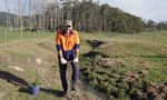 Trees holding fast for water quality in Corner Inlet wetland