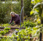 Introduction to Permaculture course coming to Fish Creek