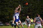 Sharks circle finals in big win