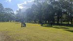 Foster Golf Club: ducks welcome, golfers less certain