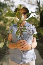 Almost $340,000 in Landcare grants to restore West Gippsland's landscapes