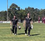 Tiges off to flying start in the cricket
