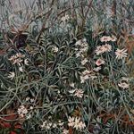 Prom Coast artists among 33 selected for inaugural Gippsland touring exhibition