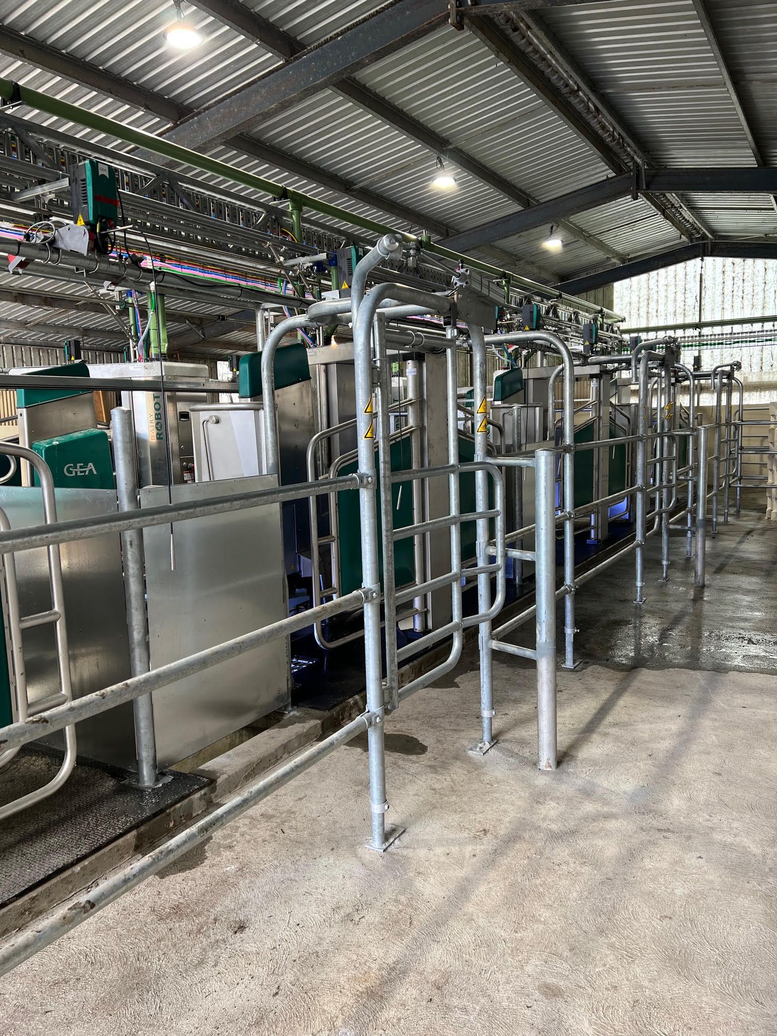 Robots in the dairy?