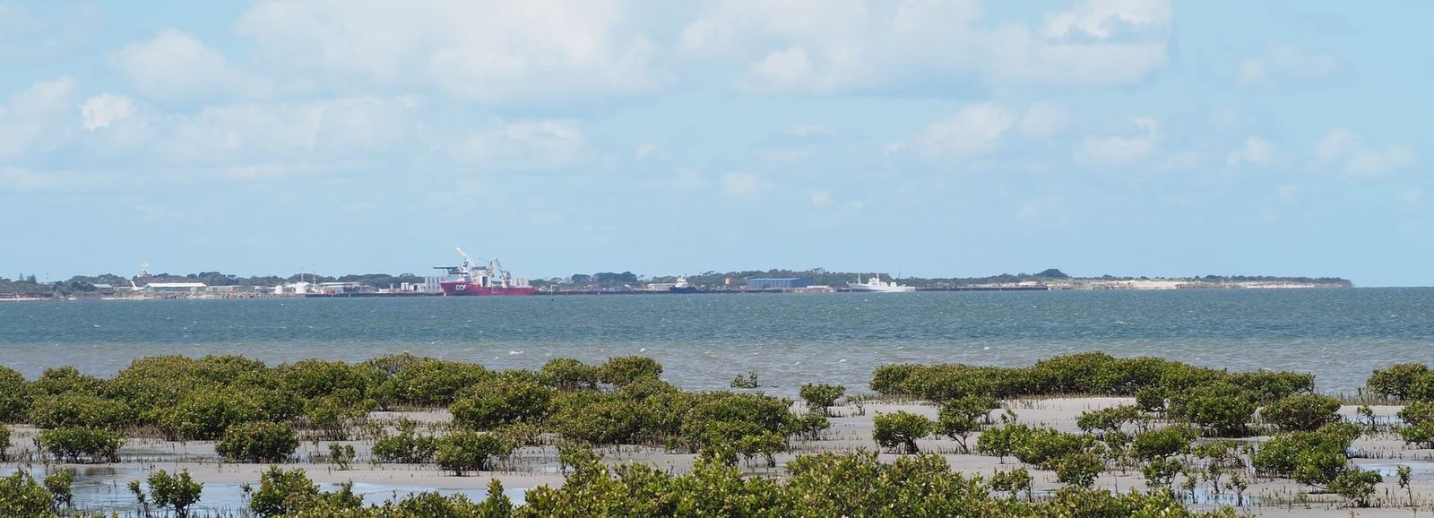 Barry Beach job prospects