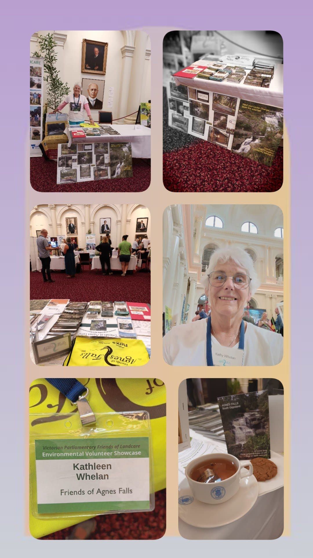 Agnes Falls in the city