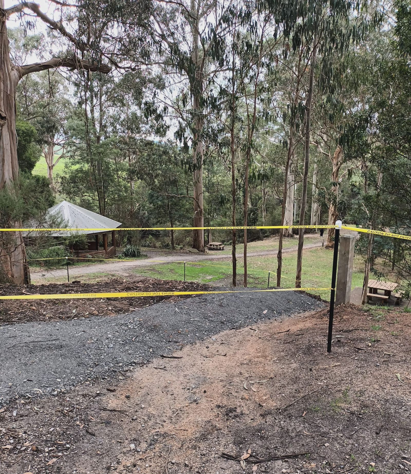 Latest news from the Friends of Agnes Falls