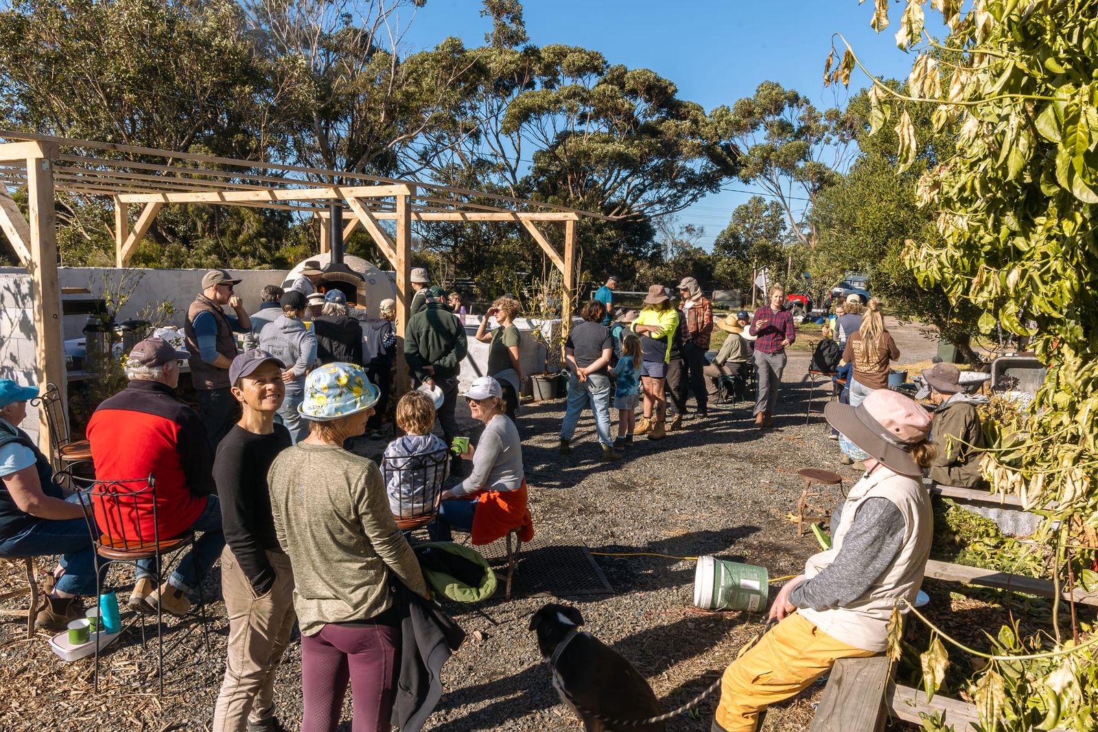 Flock, stock and reveg