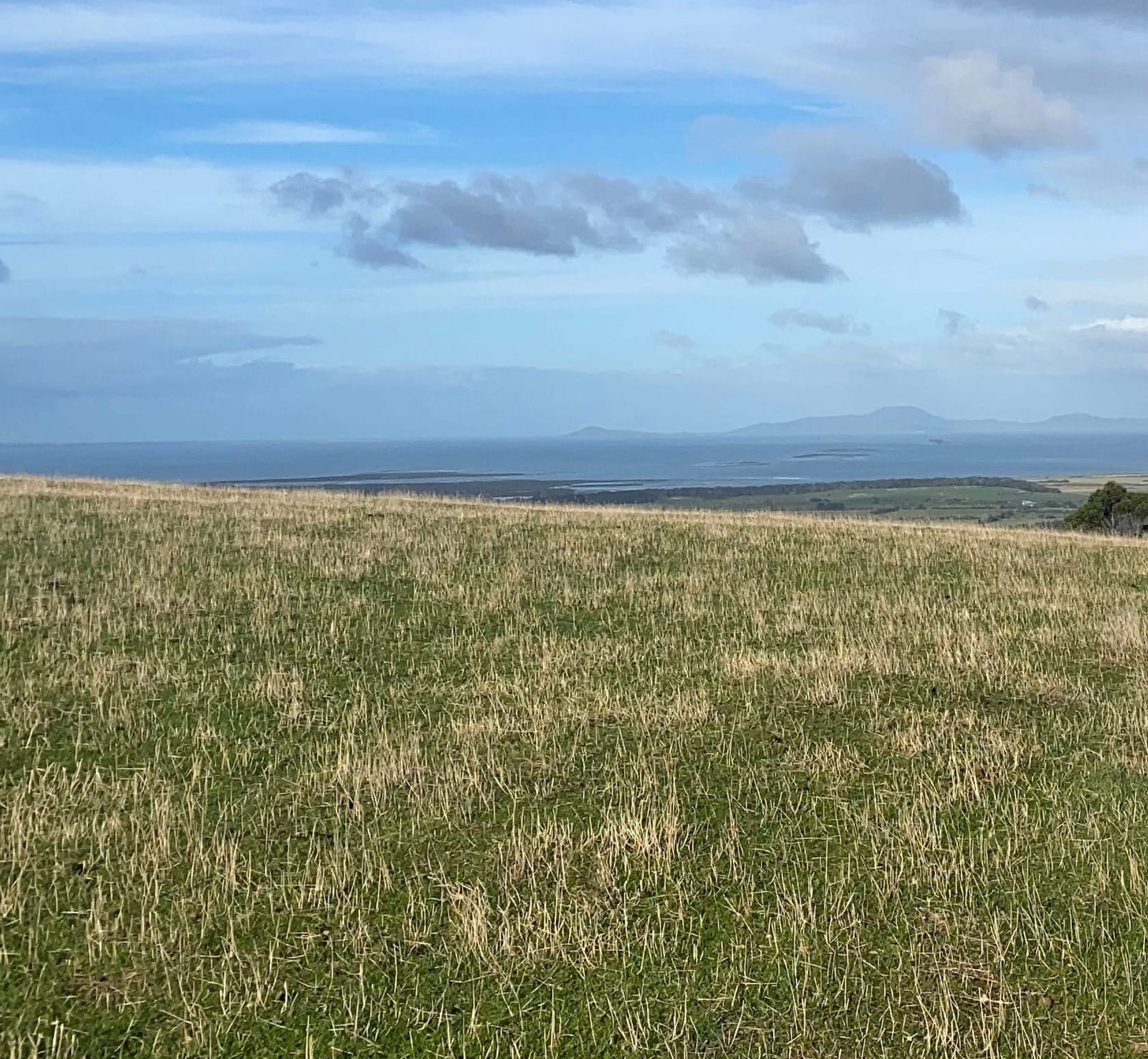 State government expands drought support as farmers face worsening conditions
