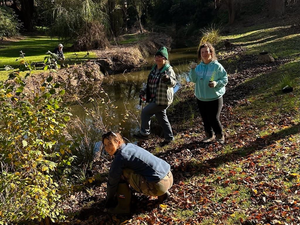 The Friends of Stockyard Creek are back!