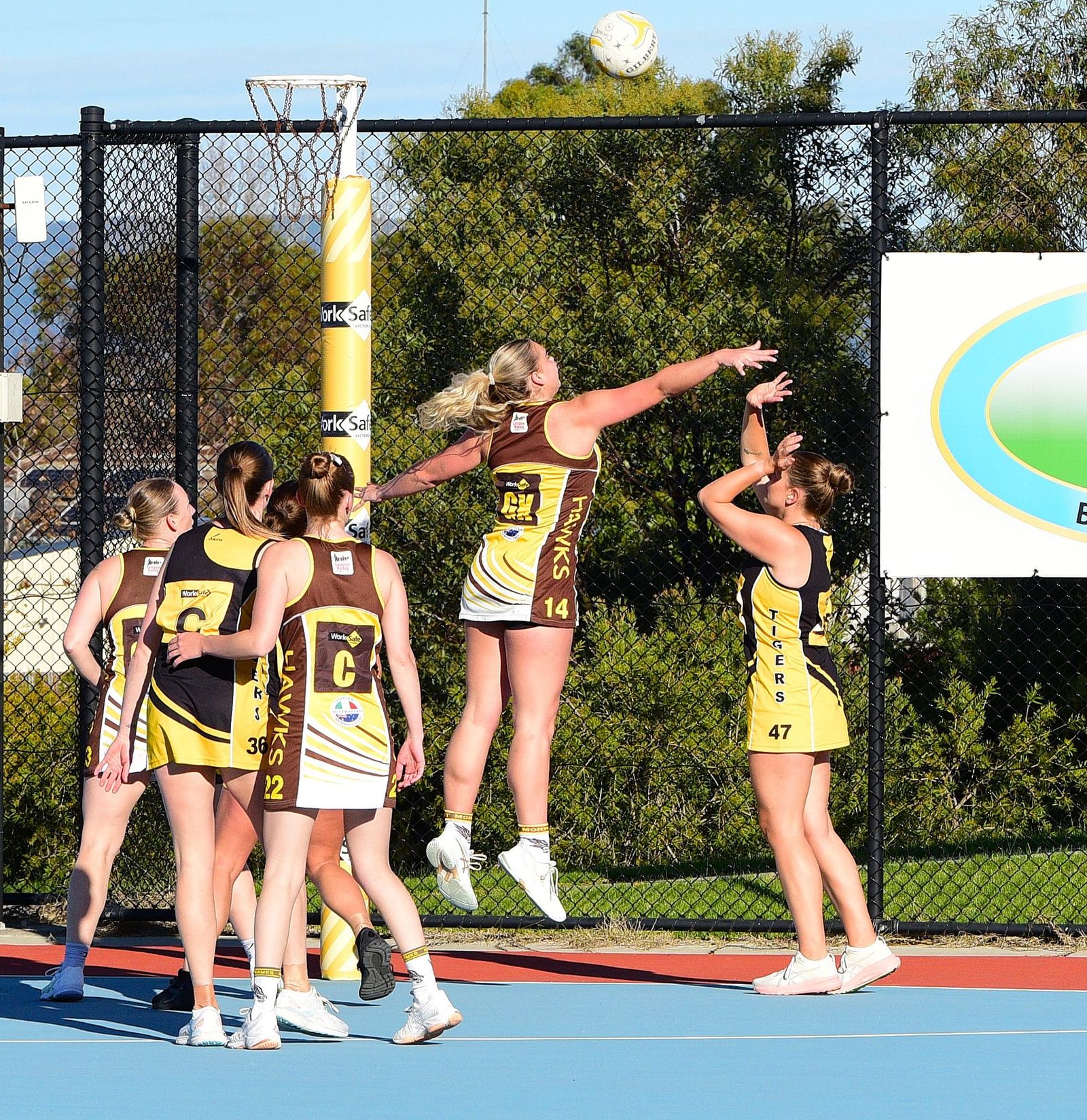 A Grade Netball round up