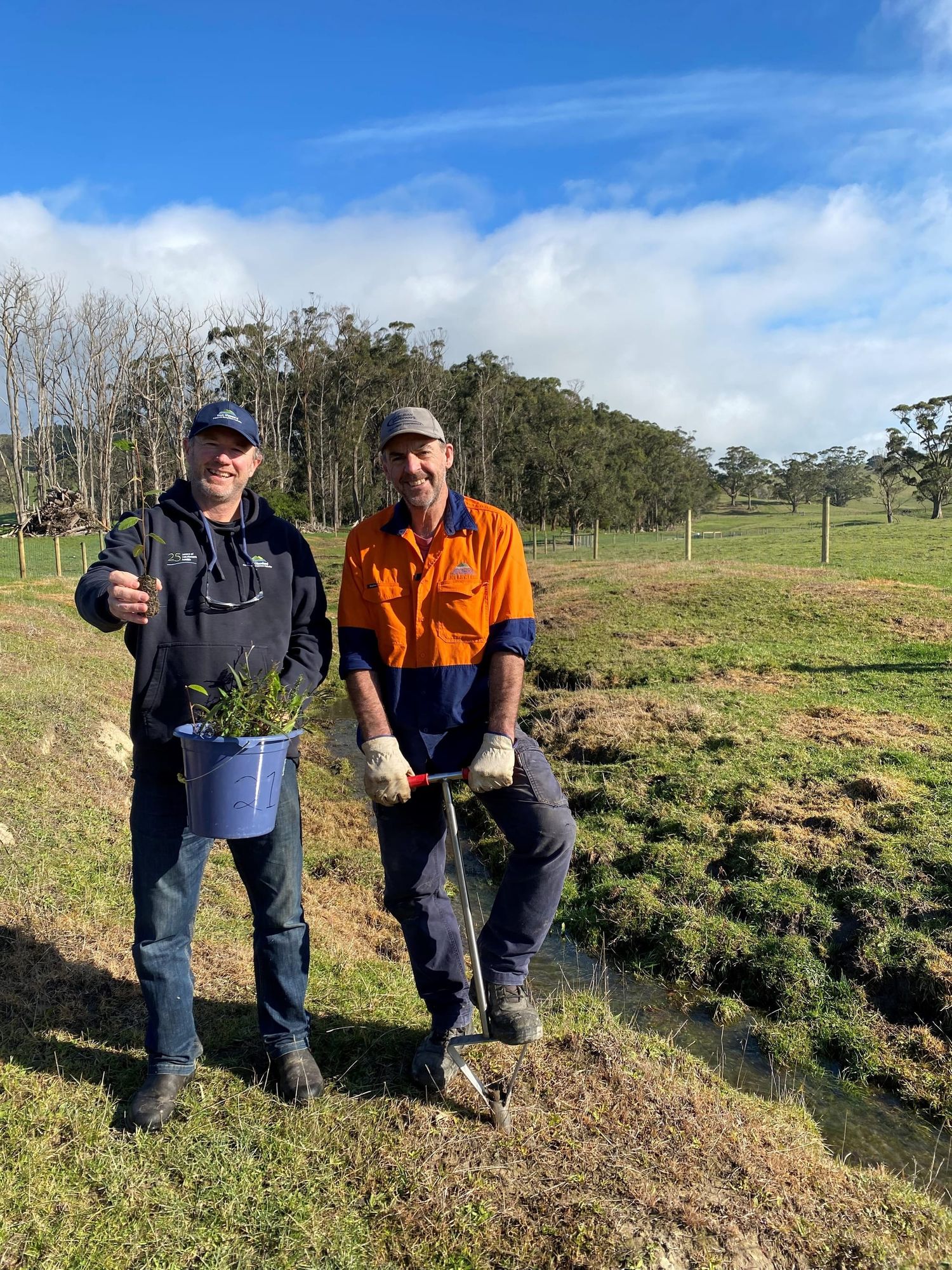 Pods, seeds and painting the landscape with trees