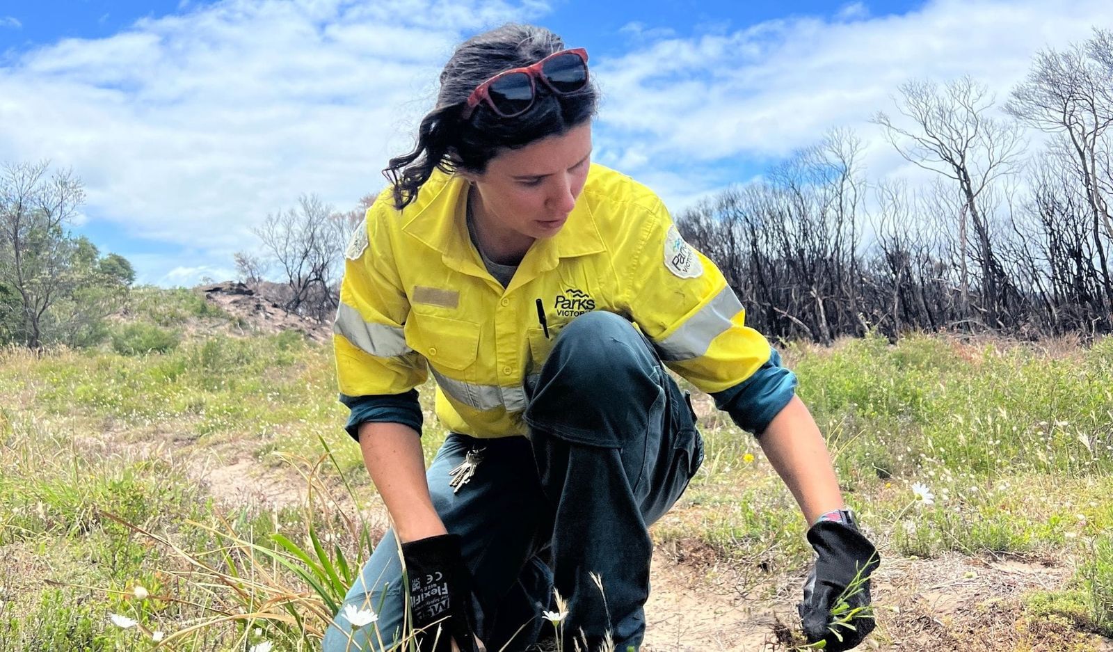 Promising start for Prom Sanctuary