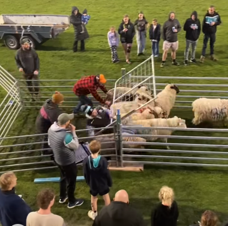 Toora FNC go above and beyond