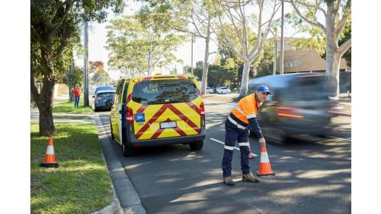 Pine in the bum: Pines a growing problem for South Gippsland's environment