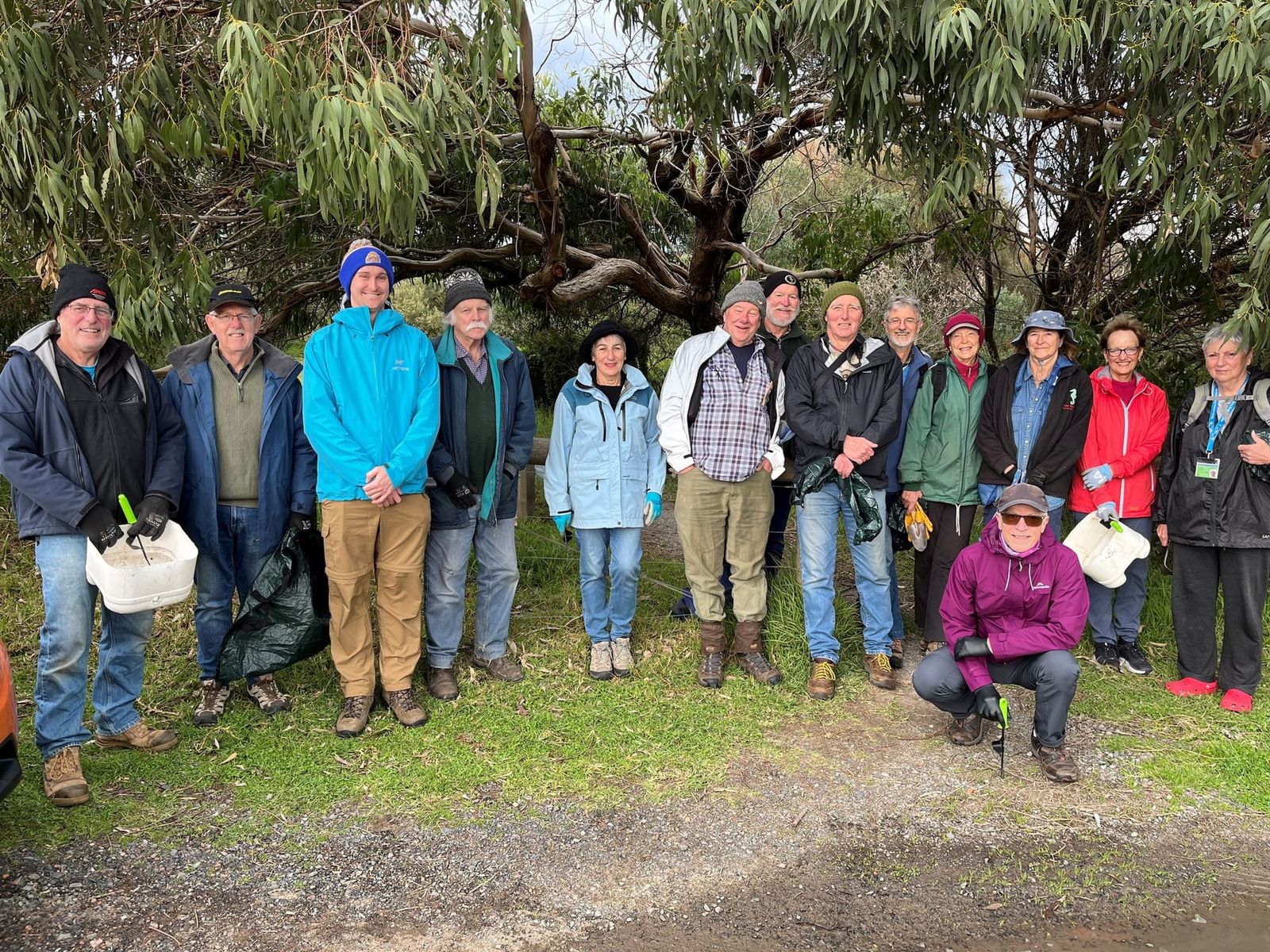 Volunteers needed to protect Endangered Hooded Plovers