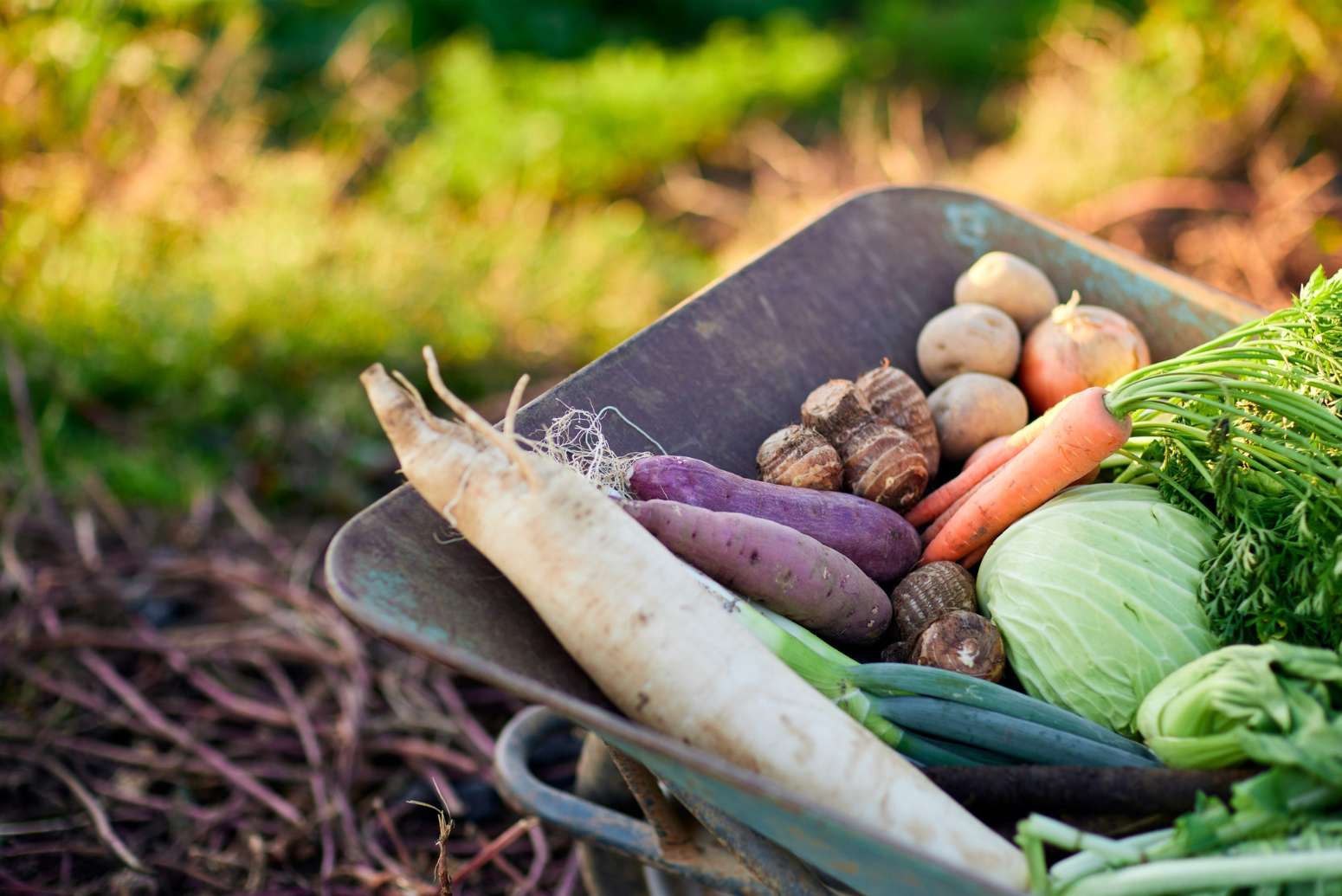 Fresh Start for Local Food: Community to Weigh In at Fish Creek Forum