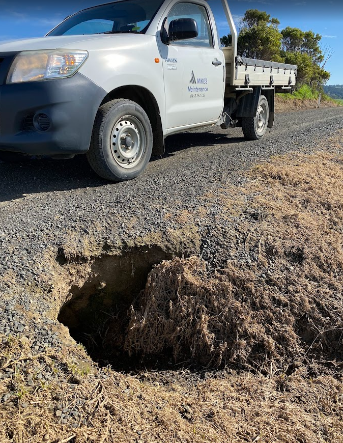 Wombat burrow fixed in record time as state launches major road blitz
