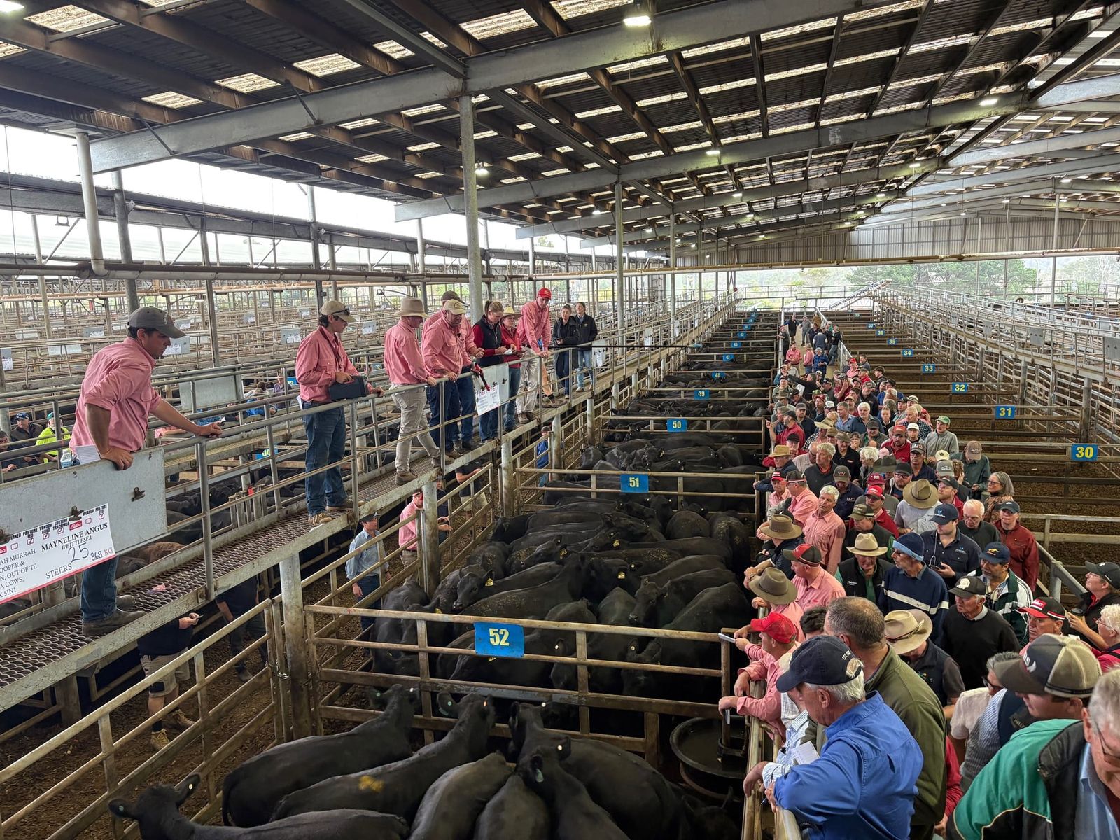 South Gippsland hosts displaced bushfire sale