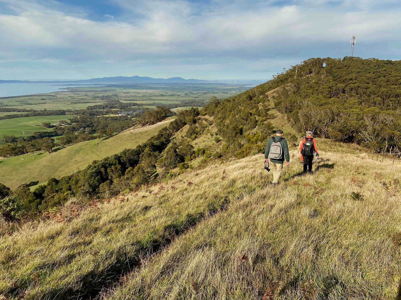Launch of the Hoddle Mountain Trail Walking Guide