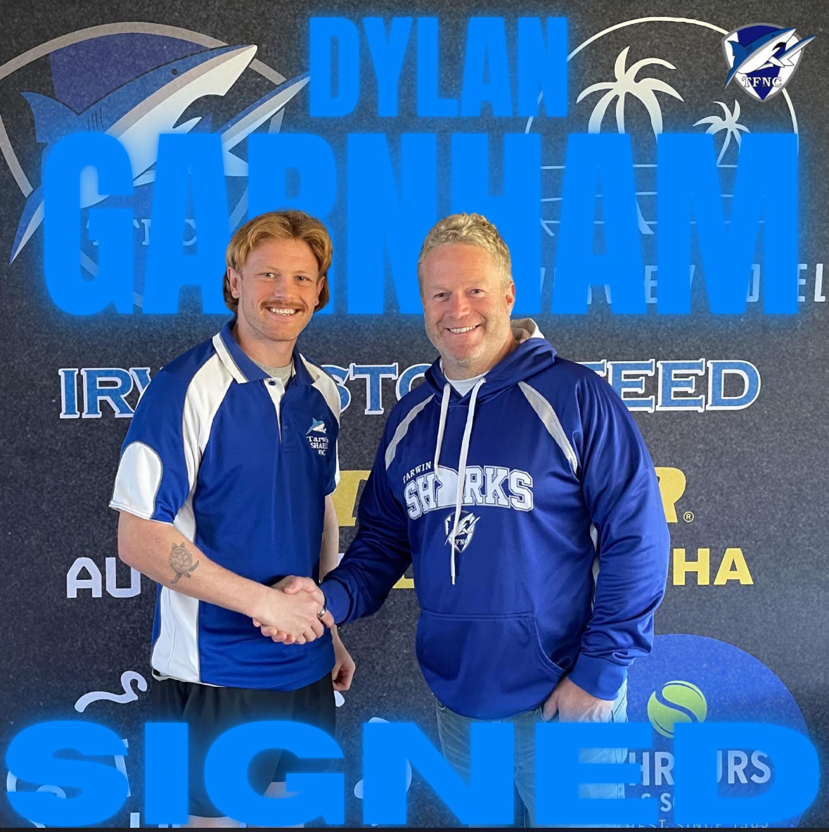 Sharks are ready to rise in 2026